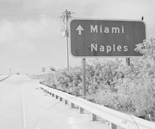 Somewhere in Florida